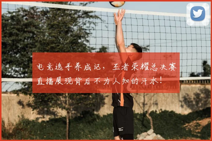 电竞选手养成记,王者荣耀总决赛直播展现背后不为人知的汗水!