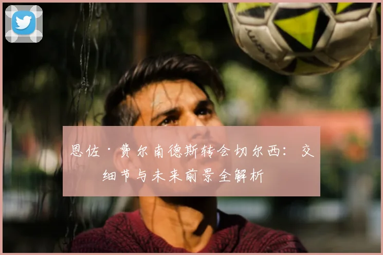 恩佐·费尔南德斯转会切尔西:交易细节与未来前景全解析