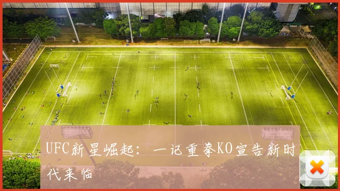 UFC新星崛起：一记重拳KO宣告新时代来临