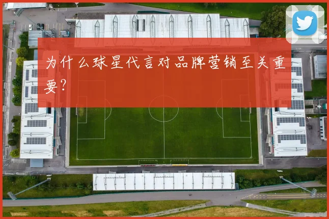 为什么球星代言对品牌营销至关重要？