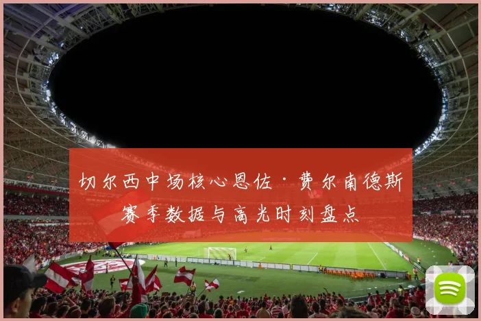 切尔西中场核心恩佐·费尔南德斯的赛季数据与高光时刻盘点