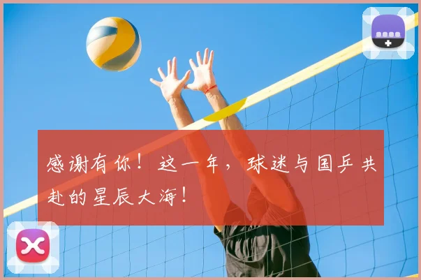 感谢有你！这一年，球迷与国乒共赴的星辰大海！
