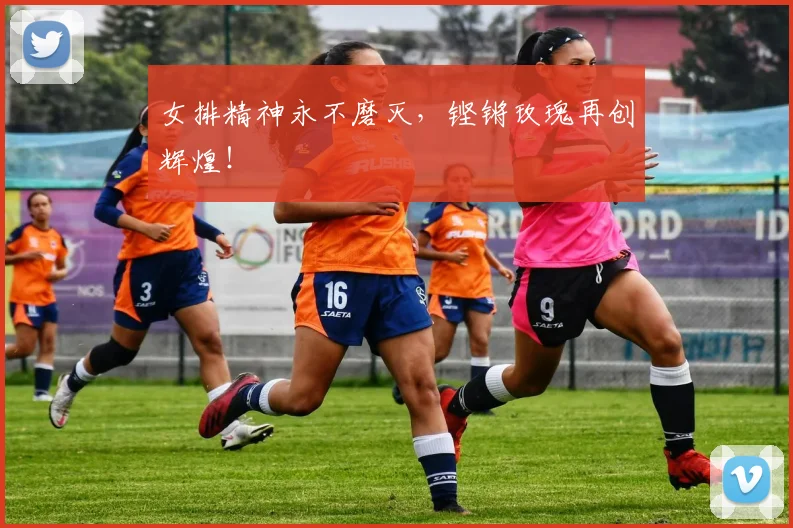 女排精神永不磨灭，铿锵玫瑰再创辉煌！