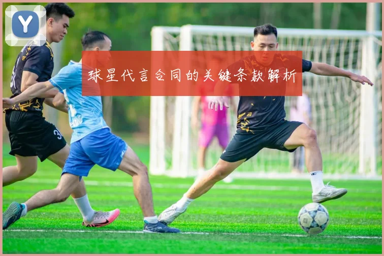 球星代言合同的关键条款解析