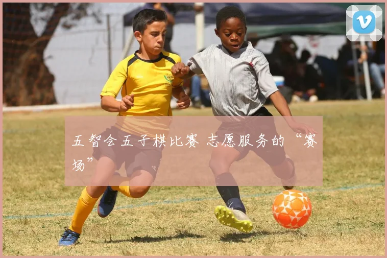 五智会五子棋比赛 志愿服务的“赛场”