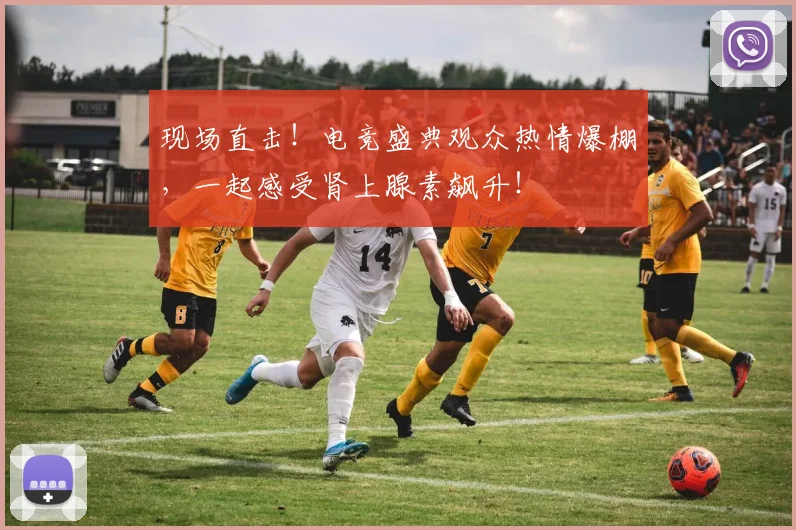 现场直击！电竞盛典观众热情爆棚，一起感受肾上腺素飙升！