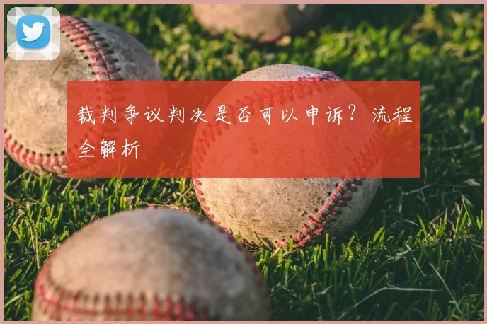 裁判争议判决是否可以申诉？流程全解析